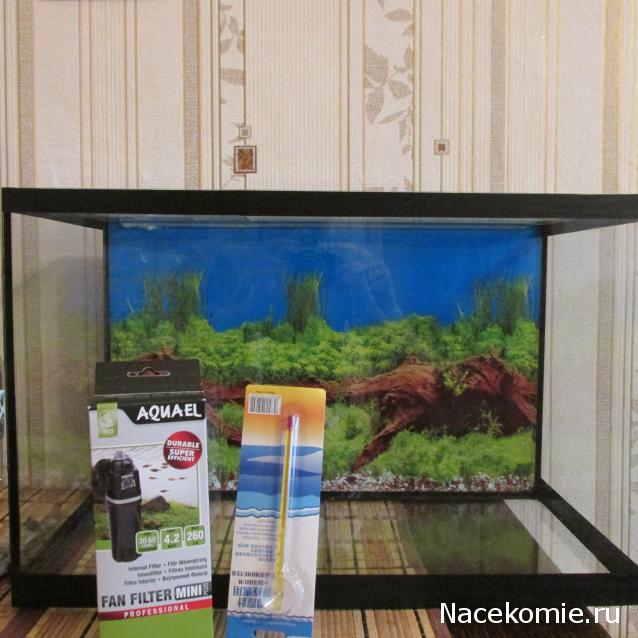 Наполеоновские Войны - Новая флудилка