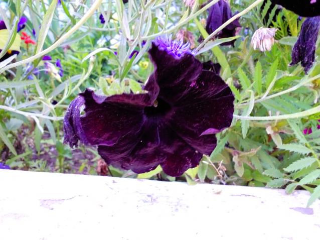 Moshule - Стройка века