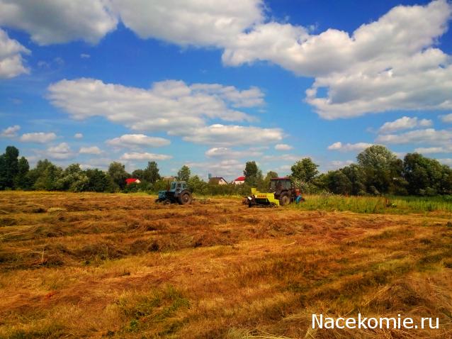 Moshule - Стройка века