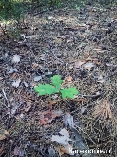 Moshule - Стройка века