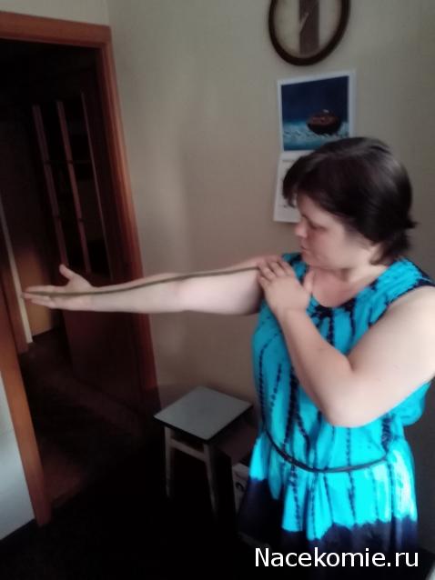 Moshule - Стройка века