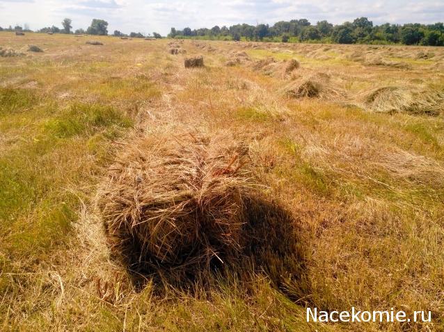 Moshule - Стройка века