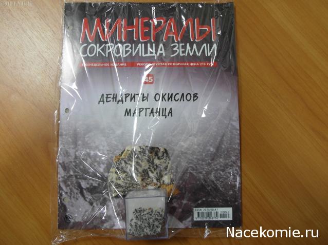 Минералы Сокровища Земли №45 - Дендриты окислов марганца