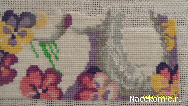 100 крестиков!