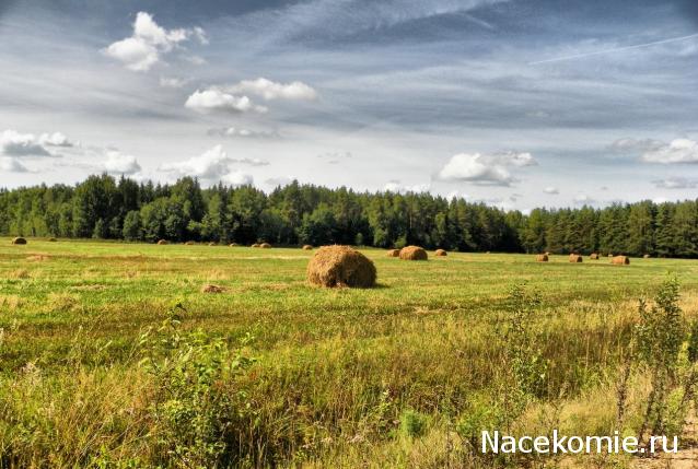 Куклы в народных костюмах №66 Кукла в девичьем костюме Витебской губернии