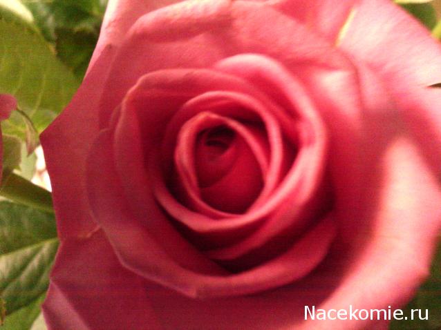 leonidovna - Ниша мечты