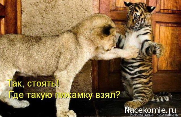 Rosinka07 - Домики бабушек