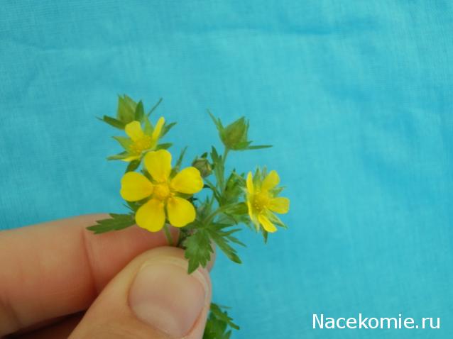 Mittara  Моя история или "Домик для моей Любимки"