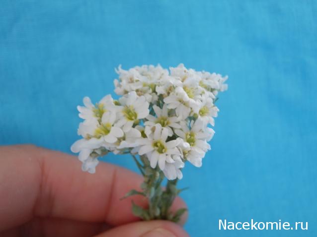 Mittara  Моя история или "Домик для моей Любимки"