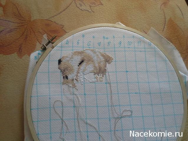 100 крестиков!