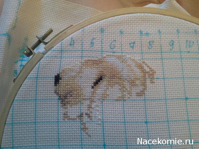 100 крестиков!