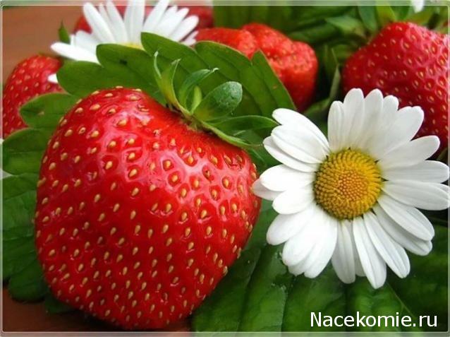 leonidovna - Ниша мечты