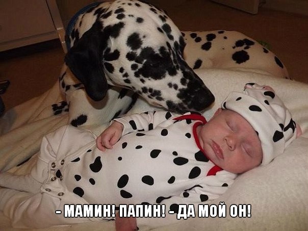 Paranoya - мой скромный домик