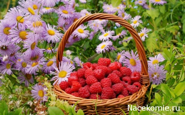 Наши Дни Рождения