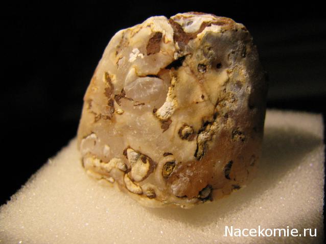 Минералы Сокровища Земли №42 - Жеода Халцедона