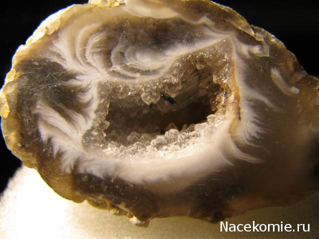 Минералы Сокровища Земли №42 - Жеода Халцедона