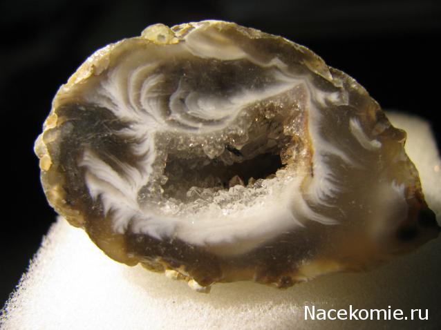 Минералы Сокровища Земли №42 - Жеода Халцедона