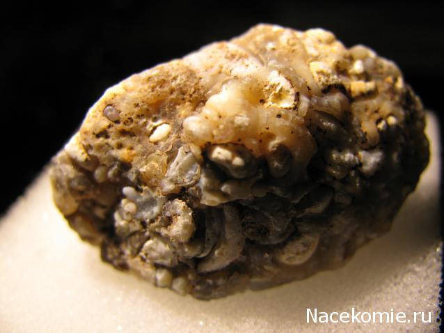 Минералы Сокровища Земли №42 - Жеода Халцедона