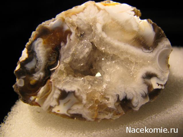 Минералы Сокровища Земли №42 - Жеода Халцедона