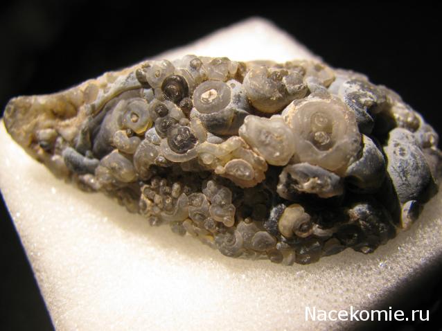 Минералы Сокровища Земли №42 - Жеода Халцедона