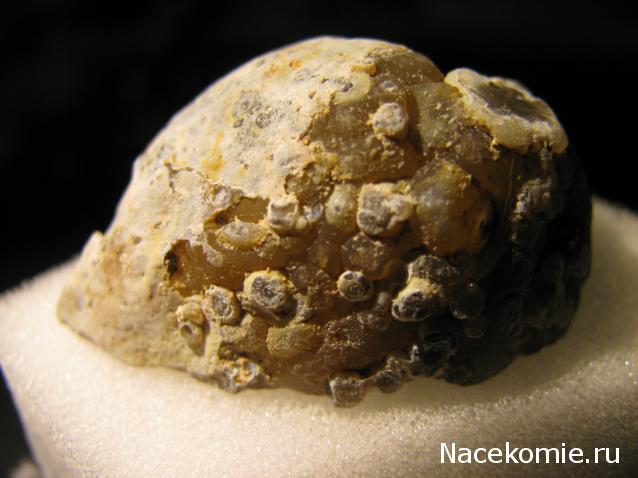 Минералы Сокровища Земли №42 - Жеода Халцедона