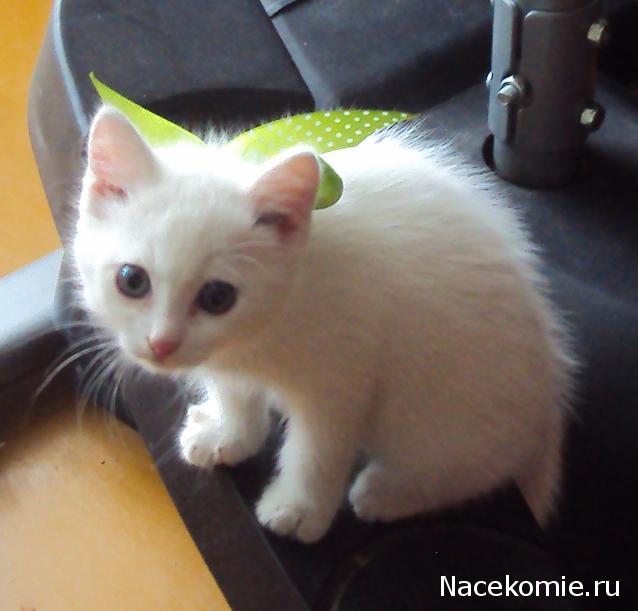 Практика. Простые вопросы и задания