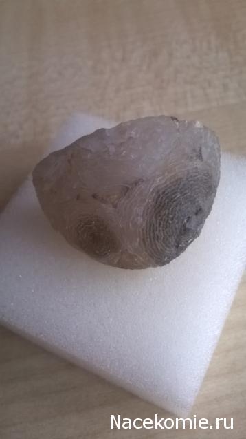 Минералы Сокровища Земли №42 - Жеода Халцедона