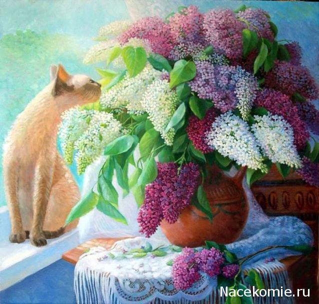 Наши Дни Рождения