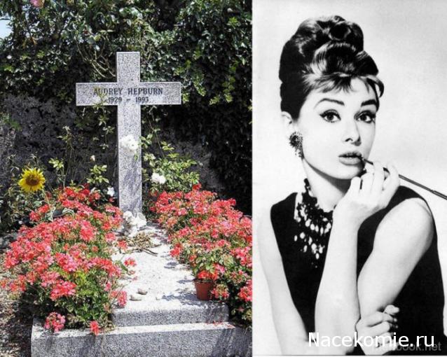 Практика. Задания с картинками