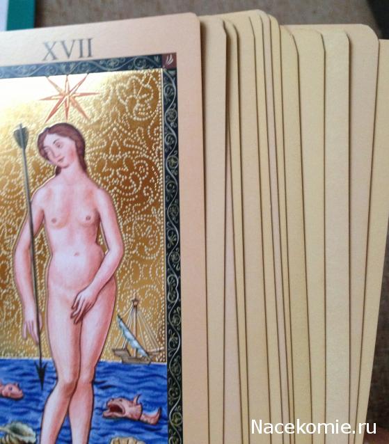 Энциклопедия Таро - График Выхода и обсуждение