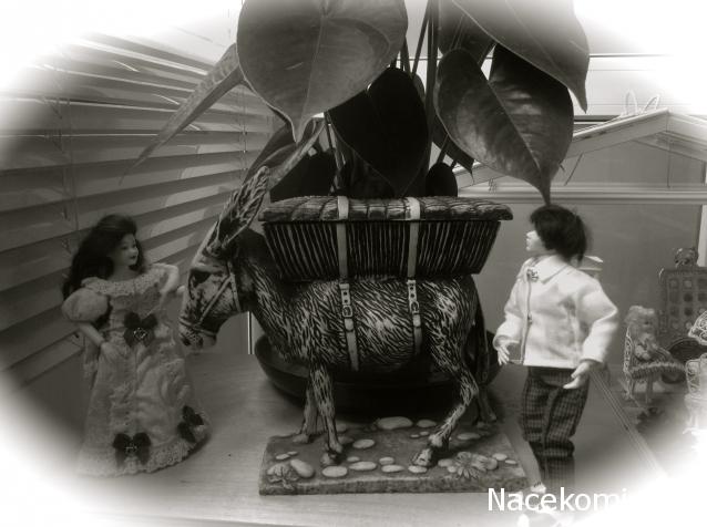 Julple - Домик Эрика и Мадлен :)