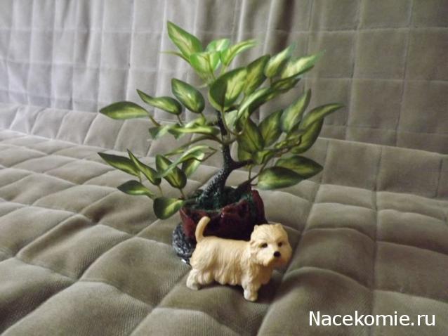 Businda. Кошкин дом.