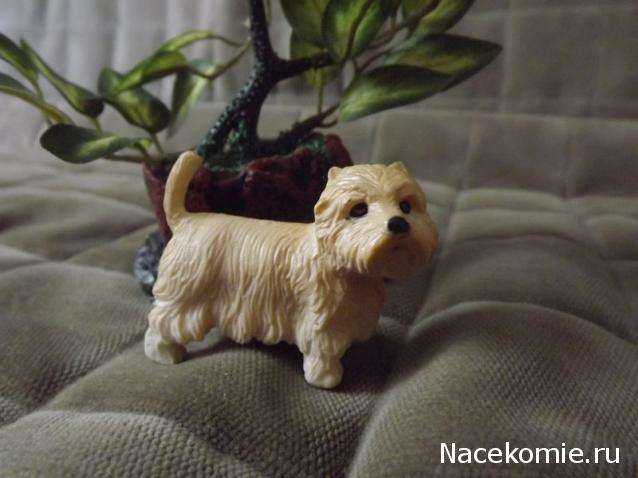 Businda. Кошкин дом.