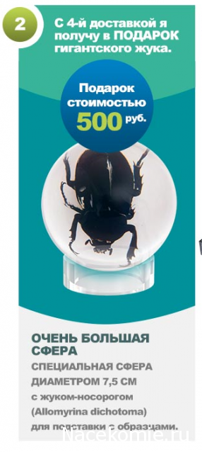 Чудеса Природы - График Выхода и обсуждение