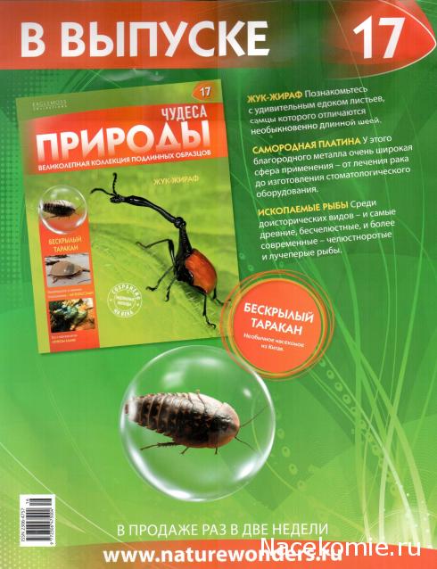 Чудеса Природы - График Выхода и обсуждение