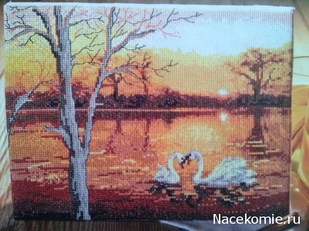 Наши процессы и долгострой