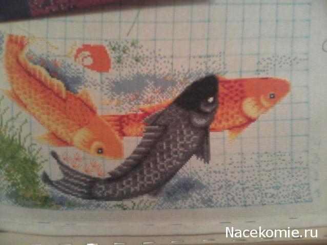 100 крестиков!