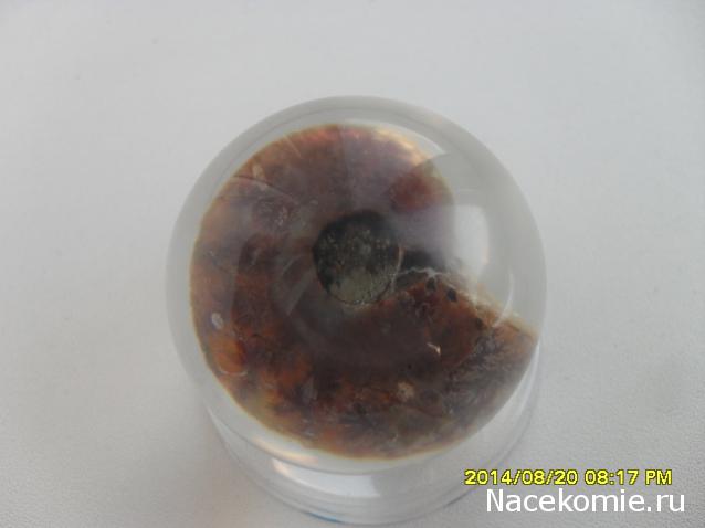 Чудеса Природы. Подписка