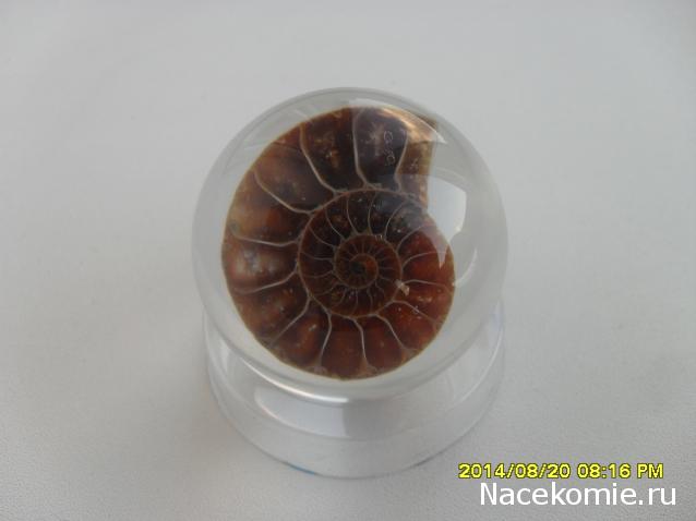 Чудеса Природы. Подписка