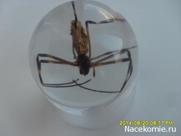 Чудеса Природы. Подписка