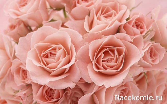 Дамы эпохи - Наши дни рождения