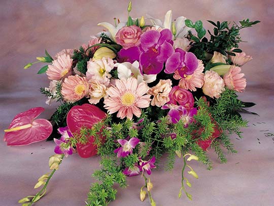 Наши Дни Рождения