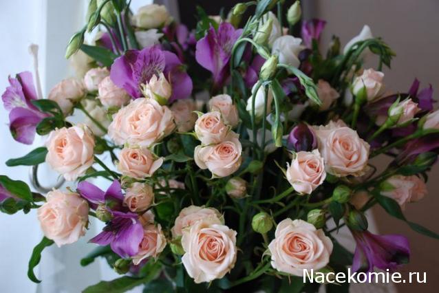 Moshule - Стройка века