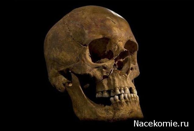 Легендарные Самолеты - График выхода и обсуждение