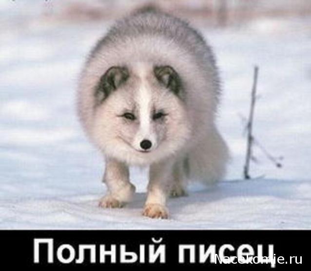 Легендарные Самолеты - График выхода и обсуждение