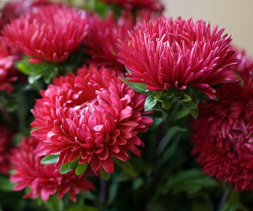 Наши Дни Рождения