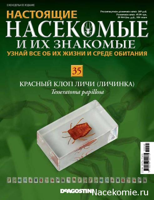 Насекомые №35 - Красный клоп Личи (личинка)(Tesseratoma papillosa)