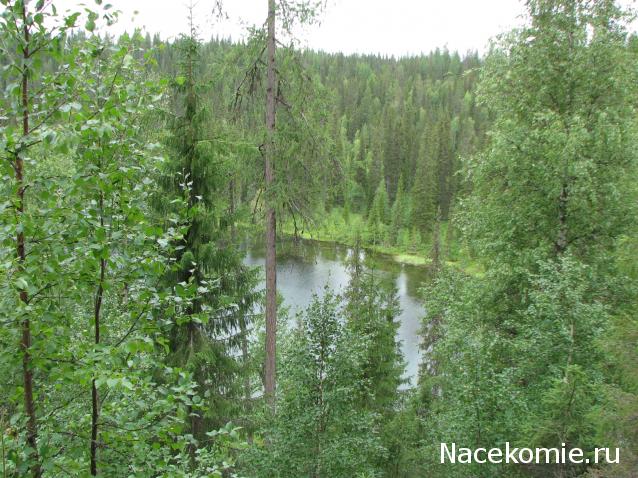 Наши Дни Рождения