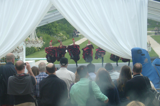 Alika - миниатюрная радость