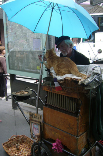 Alika - миниатюрная радость